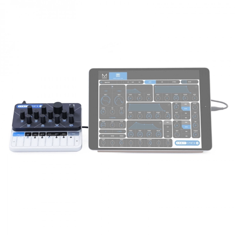 Modal Electronics CRAFTsynth V2.0 Sintetizzatore Wavetable Monofonico con 8 Oscillatori