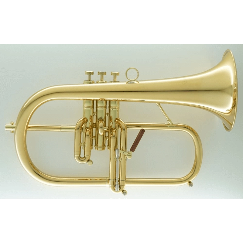 Carol Brass CFL8880-GSS-Bb-L Flicorno Soprano Laccato
