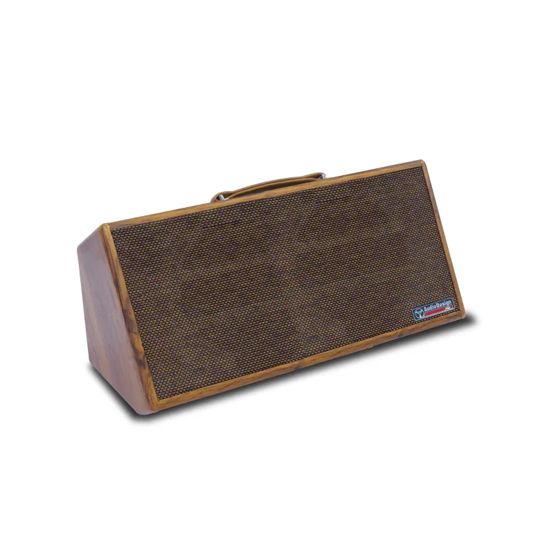 Audio Design Gipsy 2x8 MKII Amplificatore per Chitarra a Batteria e Bluetooth