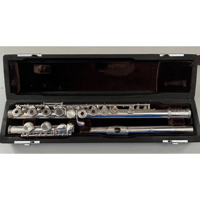 Di Zhao DZ301 CEF Flauto Traverso Argentato Fori Aperti Offset Mi Snodato