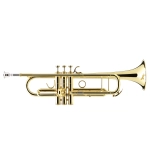 Courtois AC335 Confluence Tromba in Sib Laccata