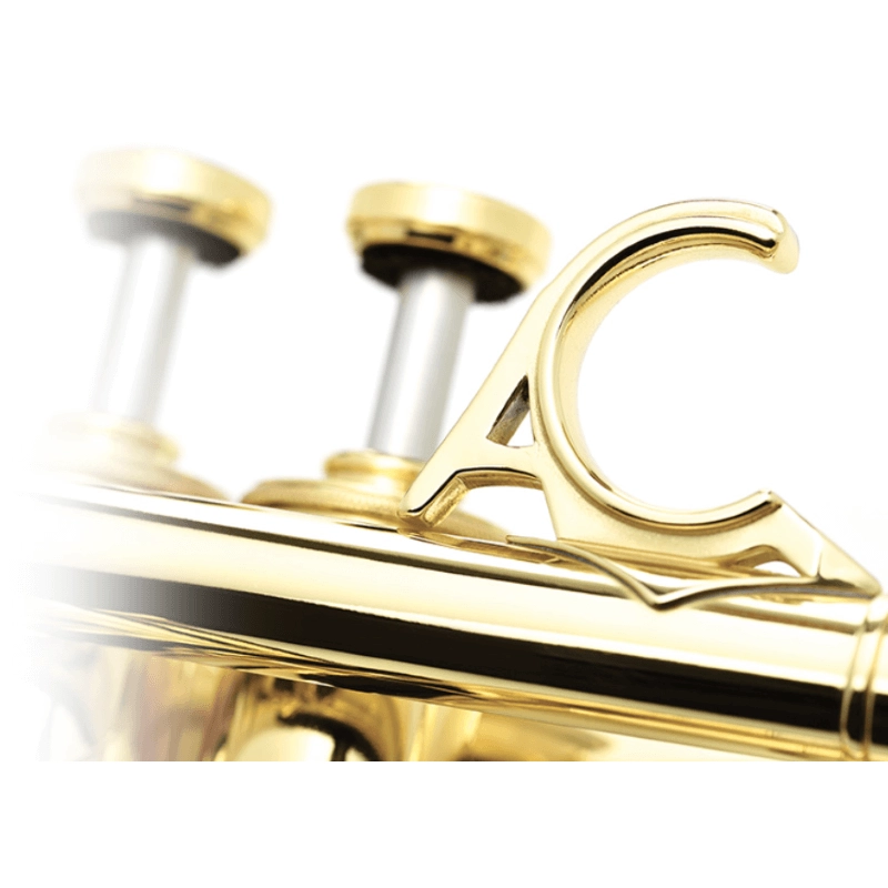 Courtois AC335 Confluence Tromba in Sib Laccata