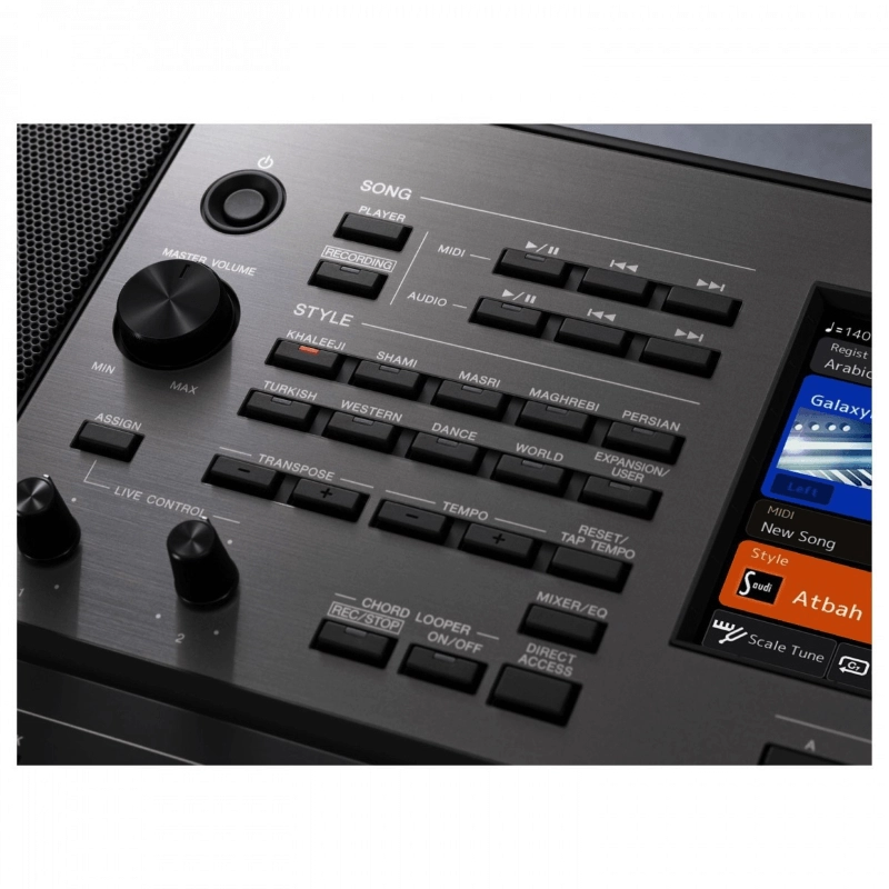 Yamaha PSRA5000 Tastiera 61 Tasti Sensibili al Tocco