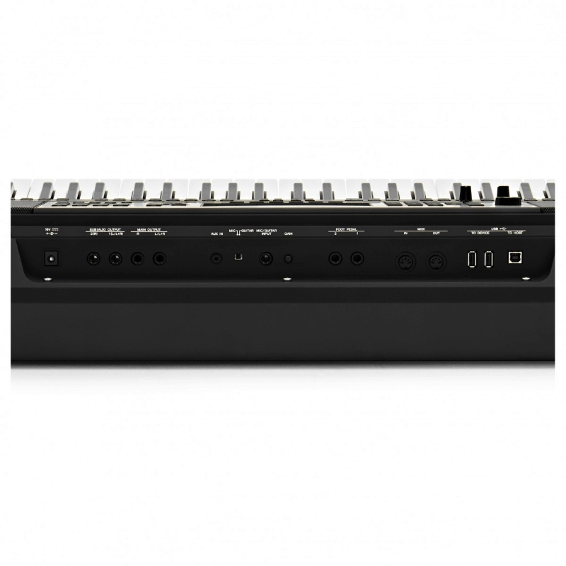 Yamaha PSRA5000 Tastiera 61 Tasti Sensibili al Tocco