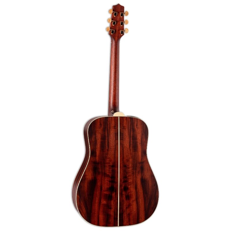 Takamine FN15-AR Dreadnought Eletrificata Finitura Sabbiata