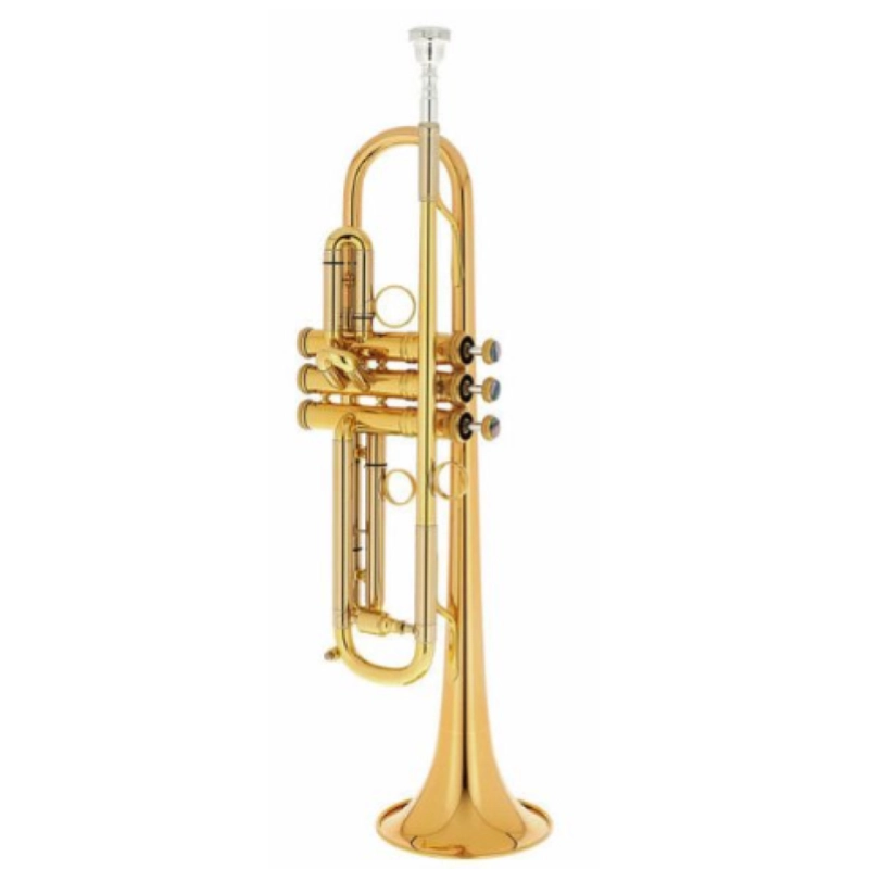 Kühnl & Hoyer Tromba Malte Burba Premium Goldbrass con custodia