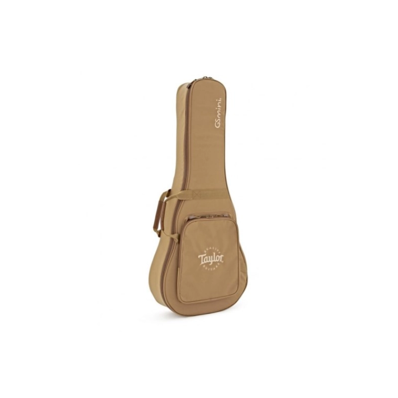 Taylor Academy 10e ES-B Electronics Dreadnought