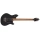 EVH Wolfgang® WG Standard, Baked Maple Fingerboard, Gloss Black
