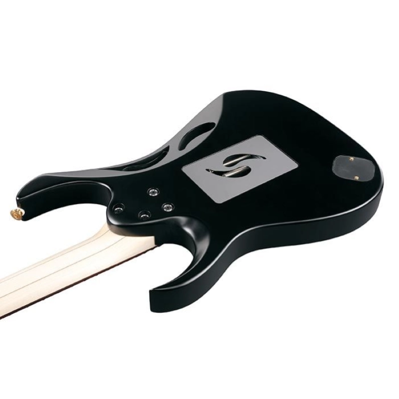 Ibanez PIA3761-XB Onyx Black STEVE VAI Signature Model con Astuccio