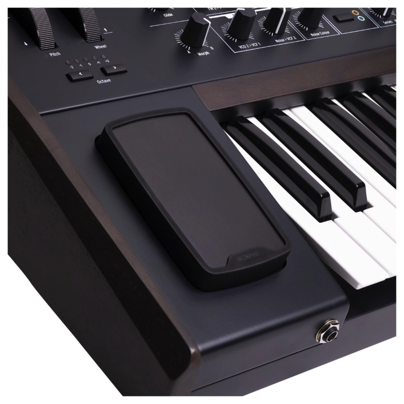 Arturia PolyBrute Noir Edition Sintetizzatore Analogico Polifonico 6 Voci 61 Tasti con Sound Morphing Limited Edition