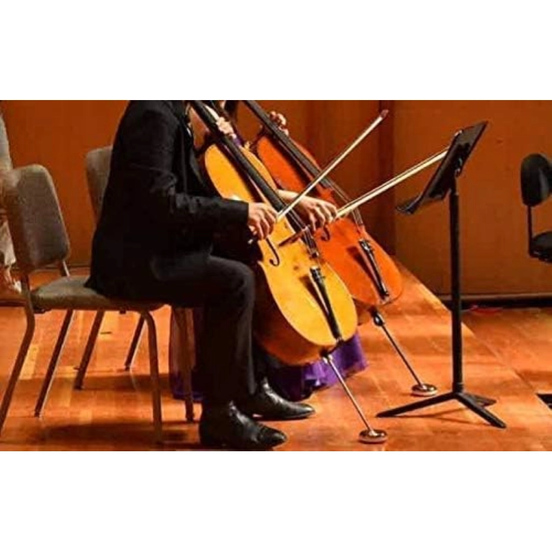 PEDI Cello Stopper Mini Horn Typhoon Poggiapuntale
