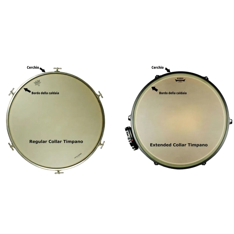 Remo RC 2500 RS Pelle Renaissance per Timpano