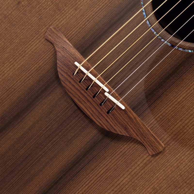 Lowden 35 F-35-IR/RW elettrificata