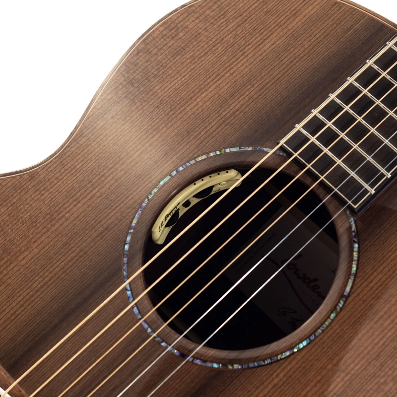 Lowden 35 F-35-IR/RW elettrificata