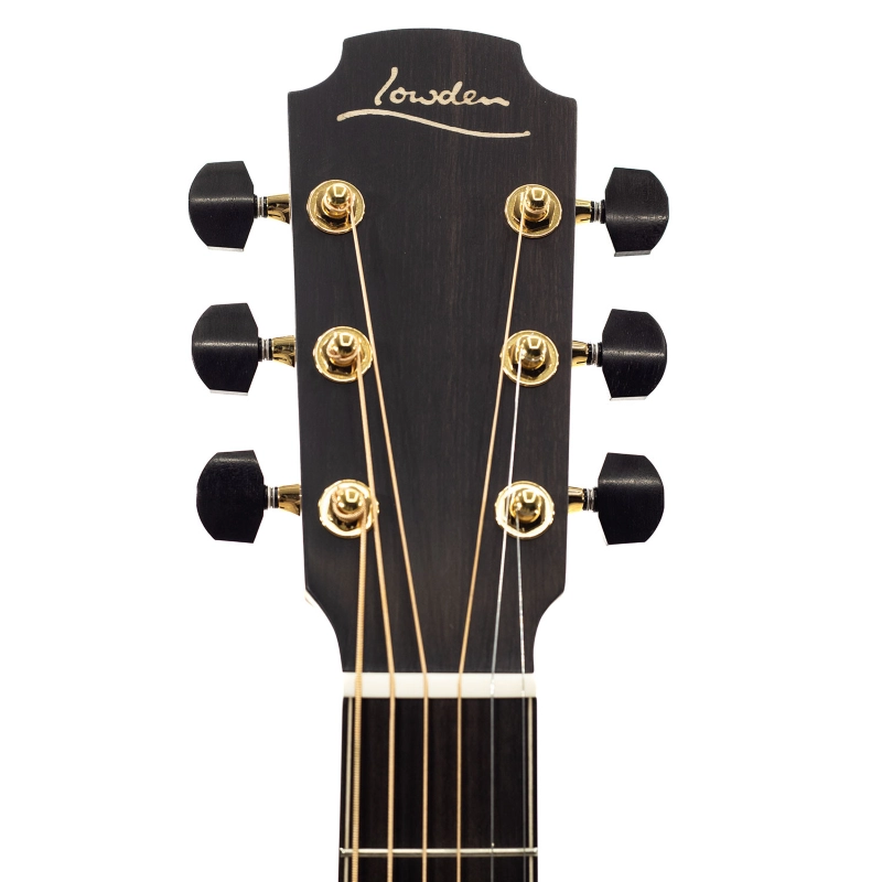 Lowden 35 F-35-IR/RW elettrificata