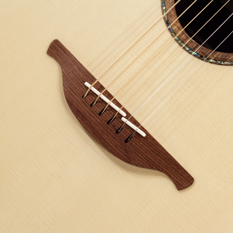 Lowden F-50-MR/AD elettrificata