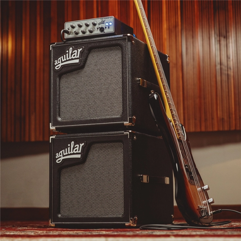 Aguilar SL 110 Black - 8 Ohm