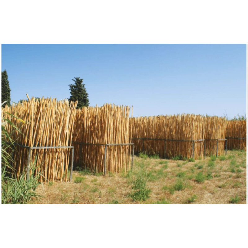 SELMER ANCE SAX SOPRANO 2.5 NEW conf.10pz