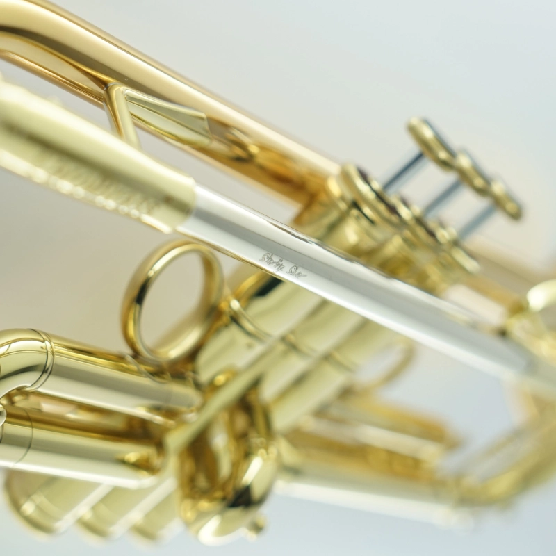 Carol Brass CTR5060H-YSS Bb-LTromba in Sib Laccata