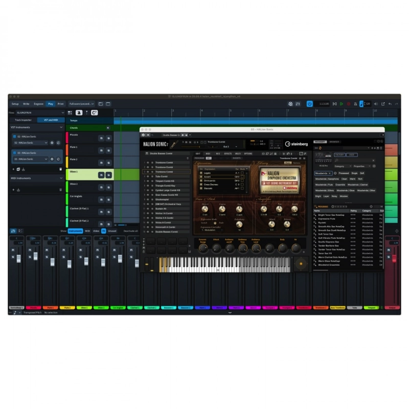 Steinberg Dorico Pro 6 Software per la Notazione e la Composizione Musicale
