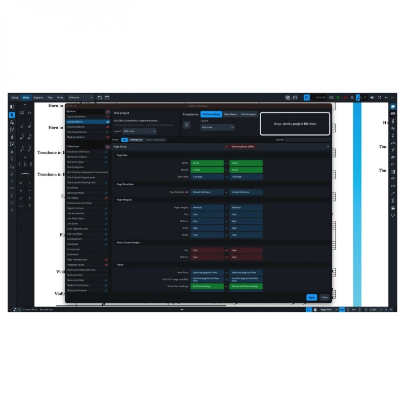 Steinberg Dorico Pro 6 Software per la Notazione e la Composizione Musicale
