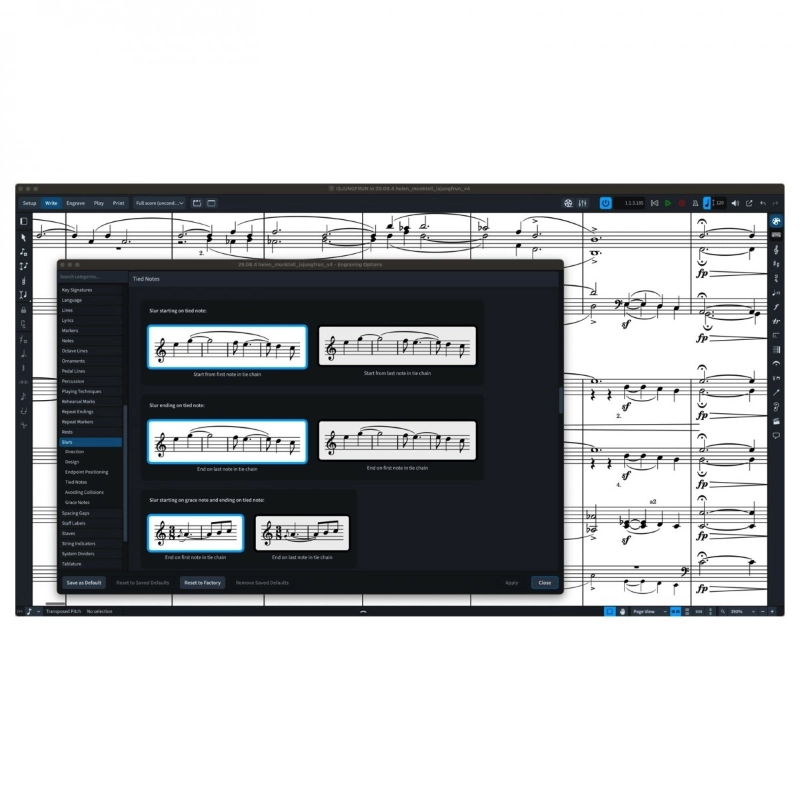 Steinberg Dorico Pro 6 - Educational Software per la Notazione e la Composizione Musicale
