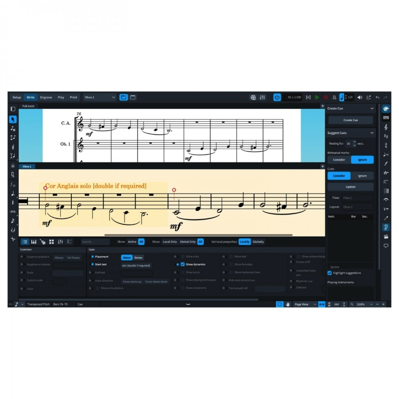Steinberg Dorico Pro 6 - Crossgrade da Sibelius Educational Software per la Notazione e la Composizione Musicale