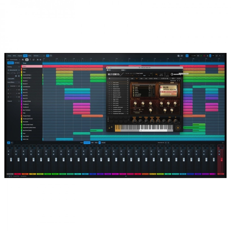 Steinberg Dorico Elements 6 Software per la Notazione e la Composizione Musicale