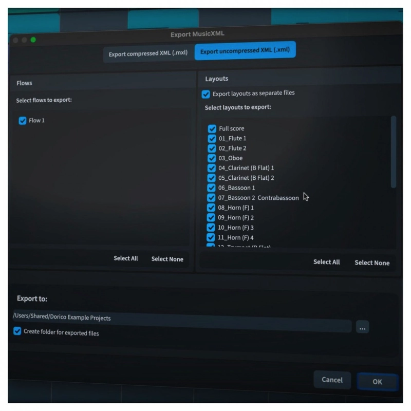 Steinberg Dorico Elements 6 Software per la Notazione e la Composizione Musicale