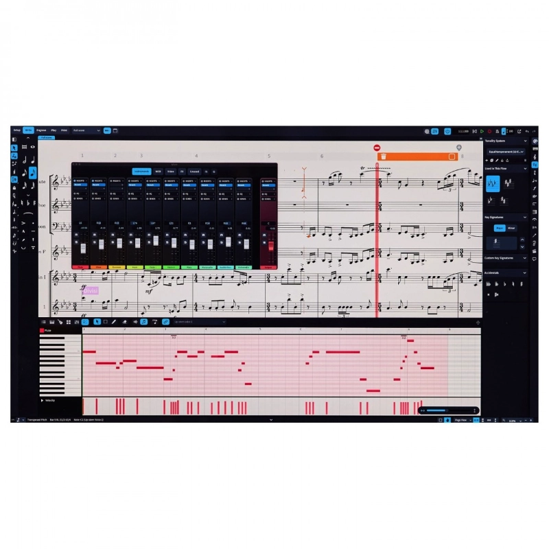 Steinberg Dorico Elements 6 - Educational Software per la Notazione e la Composizione Musicale