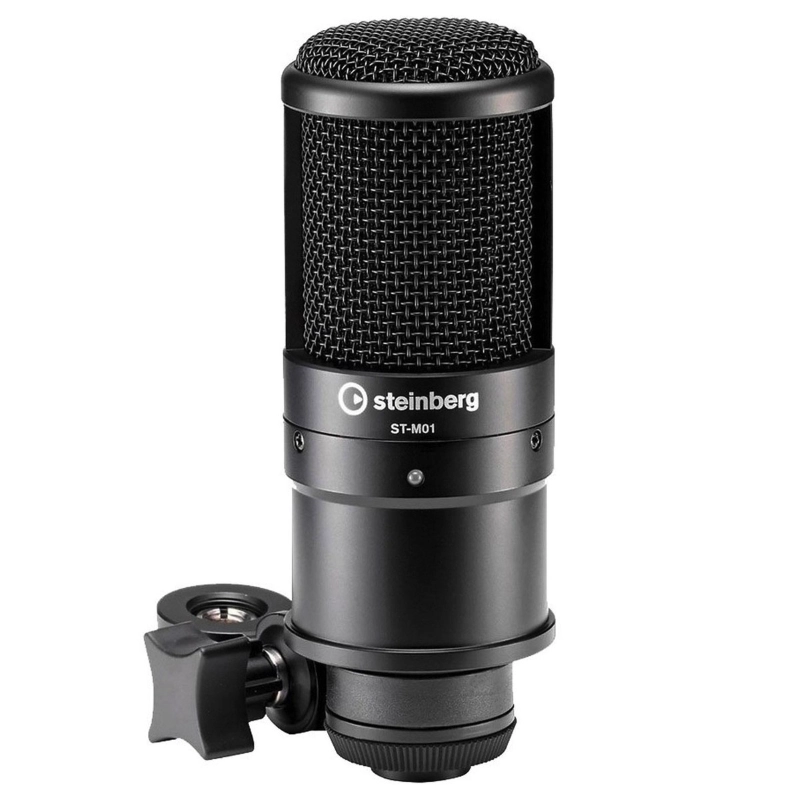Steinberg UR22C Recording Pack Kit per la Registrazione con Microfono a Condensatore Interfaccia Audio e Cuffie Monitor