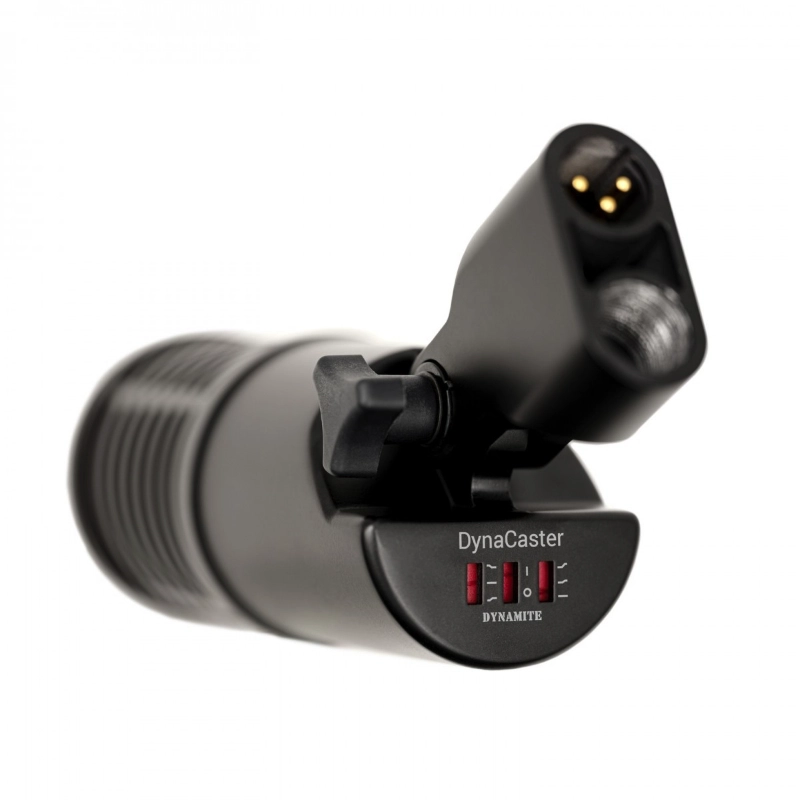 sE Electronics DynaCaster Microfono Dinamico Cardioide per Voce e Podcast