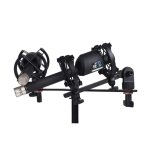 sE Electronics RN17 Stereo Matched Pair Coppia di Microfoni Matched a Condensatore a Diaframma Piccolo