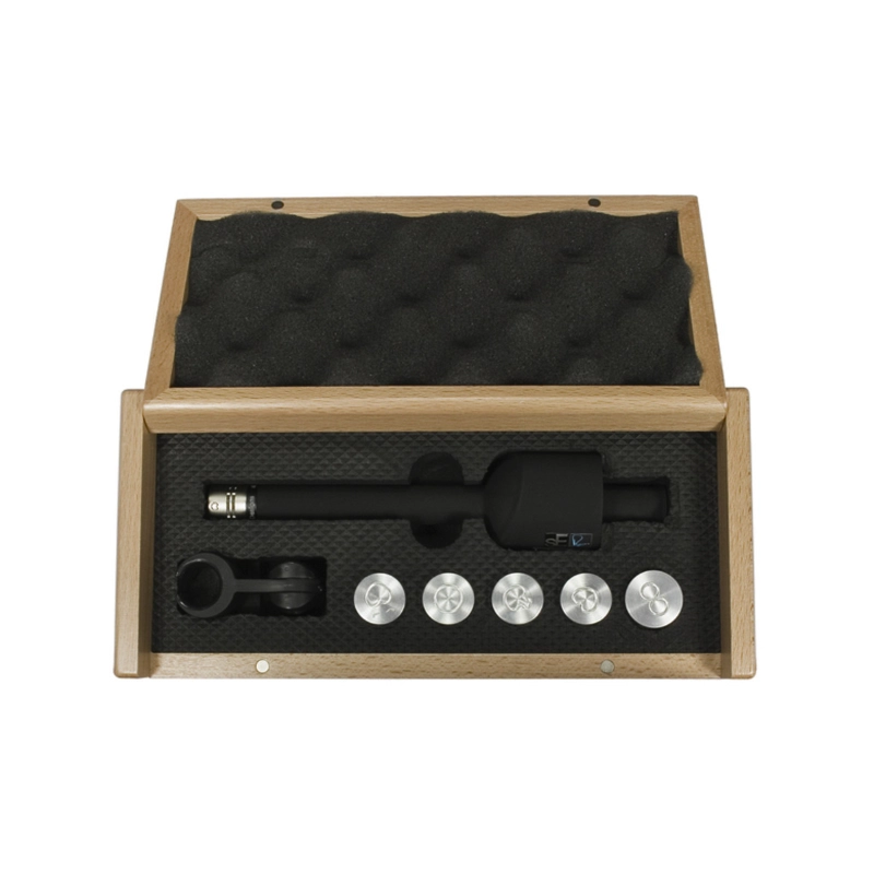 sE Electronics RN17 Stereo Matched Pair Coppia di Microfoni Matched a Condensatore a Diaframma Piccolo