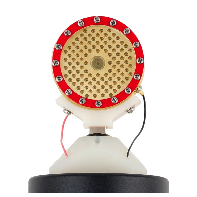 sE Electronics sE2200 Microfono Cardioide a Condensatore con Diaframma Largo