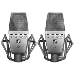 sE Electronics sE T2 Titanium MK2 Pair Basato sul 4400 MK2 Capsula in Titanio Coppia Selezonata