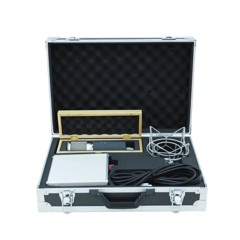 sE Electronics Z5600a II Microfono a Condensatore Valvolare Multi Polare per Voce e Strumenti