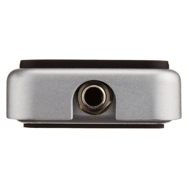 Zoom FS01 Footswitch Momentaneo