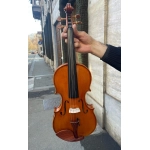 Flora Violino By Bruck FP01 4/4 Finitura #302