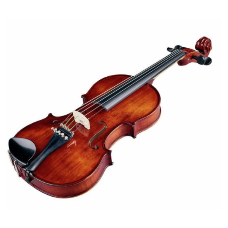 VIOLINO BRUCK M01 MAESTRO 5 CORDE