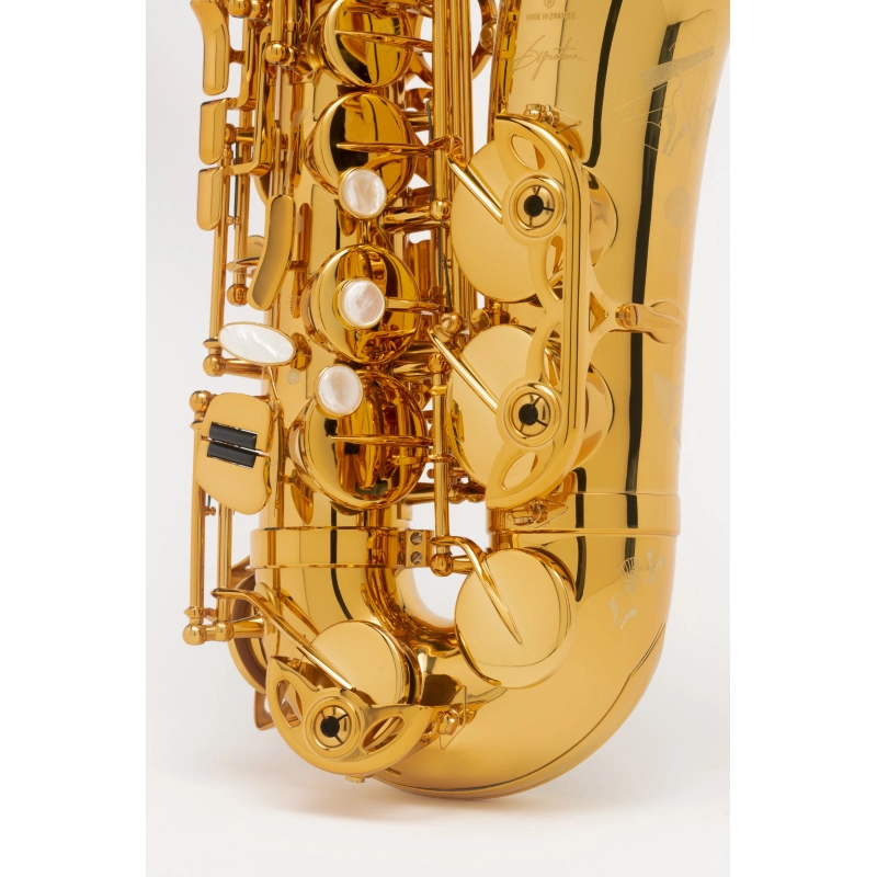 Selmer Signature Sax Alto Laccato