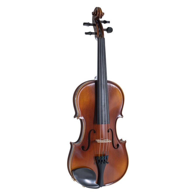 Violino Allegro 4/4 Completo con SETUP e Corde Larsen Aurora