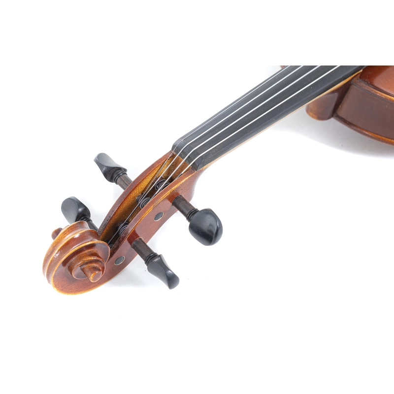 GEWA Violino Allegro 4/4 Corde Larsen Aurora con SETUP
