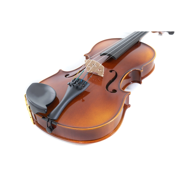GEWA Violino Allegro 4/4 Corde Larsen Aurora con SETUP