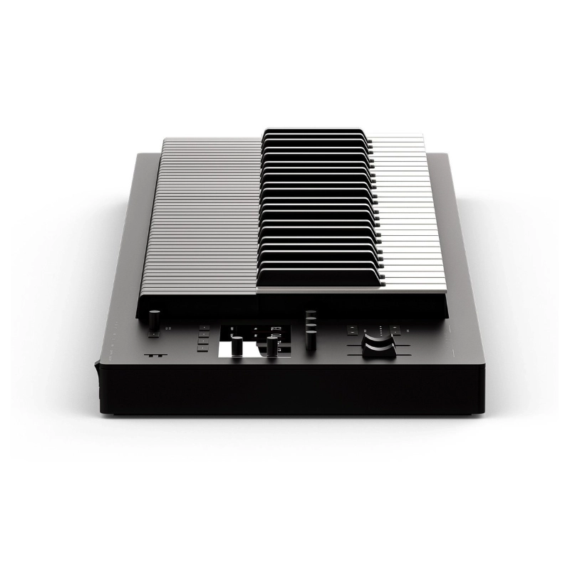 Expressive E Osmose 49 Sintetizzatore Polifonico con Tastiera Multidimensionale