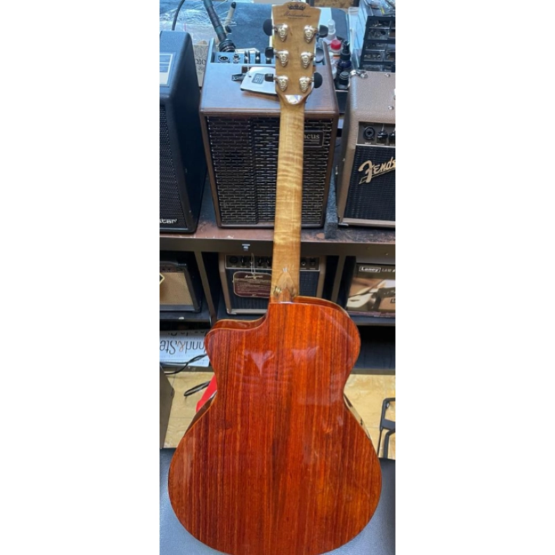 MERIDA PROCNIAS-ES GS Mini Cutaway Fishman ISY201