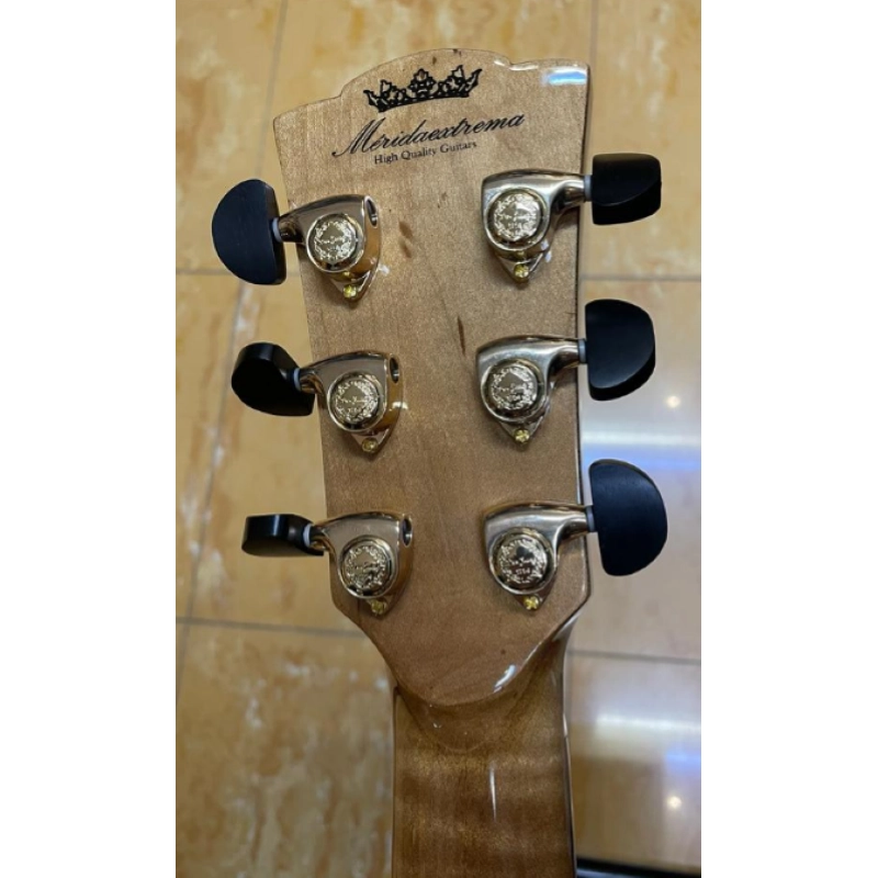 MERIDA PROCNIAS-ES GS Mini Cutaway Fishman ISY201