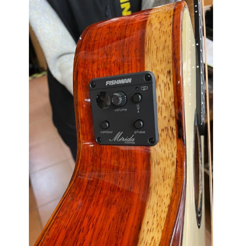 MERIDA PROCNIAS-ES GS Mini Cutaway Fishman ISY201