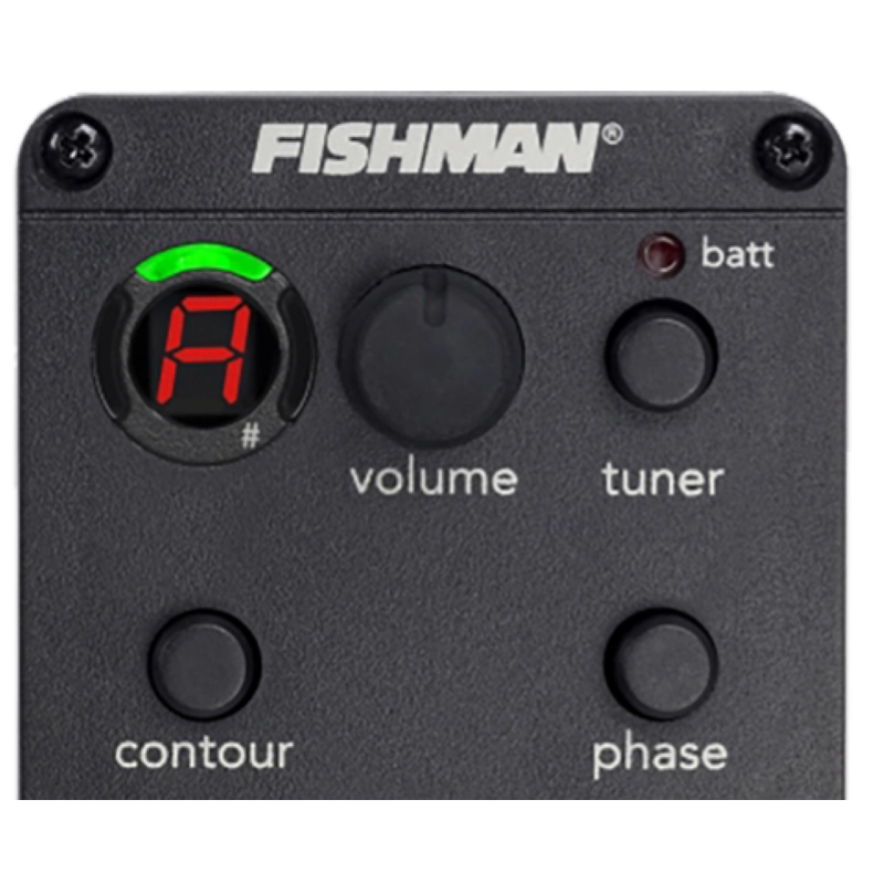 MERIDA PROCNIAS-ES GS Mini Cutaway Fishman ISY201