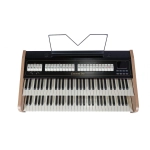 Viscount Cantorum DUO Plus-W Organo liturgico With 2 wooden covered Keyboards